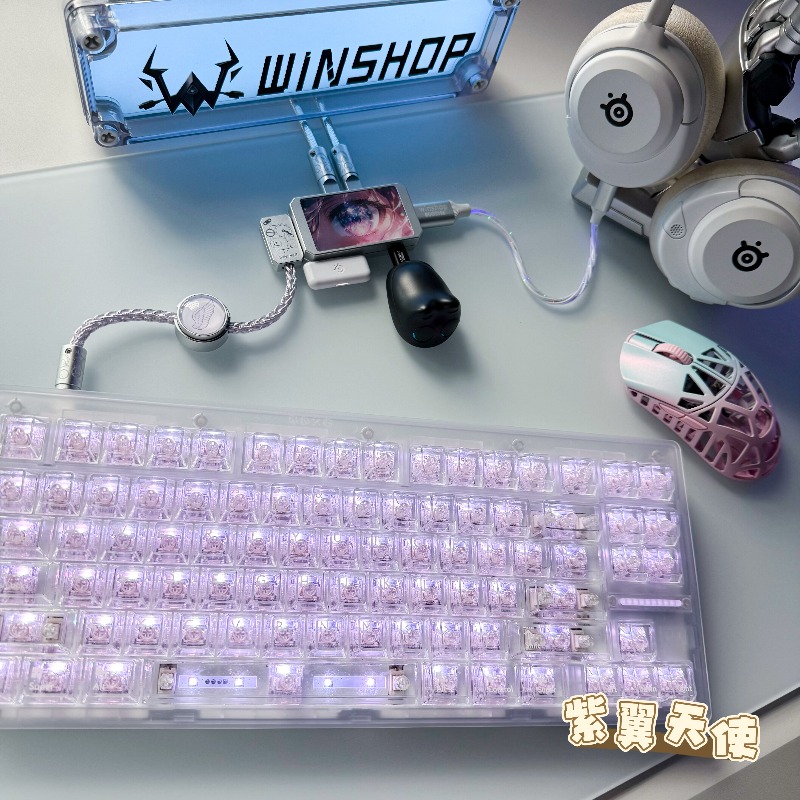 WINSHOP Esports HUB デュアルイン 4 ア - Desk Setup Hub のレビューと価格